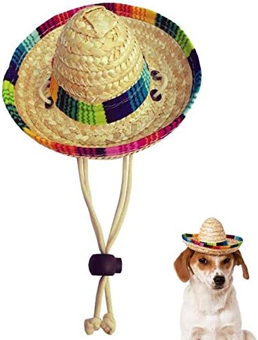 Dog Sombrero Hat, Mini Straw Sombrero Hats Mexican Hats Sombrero Party Hats for Small Pets/Puppy/Cat