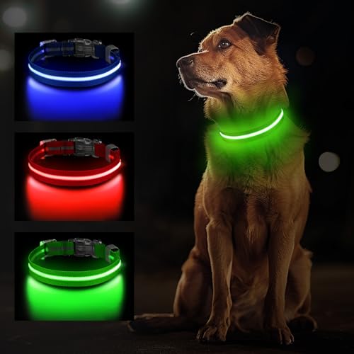 Jewyow Leuchthalsband Hund, Wiederaufladbares LED Hundehalsband für Kleine, Mittelgroße & Große Hunde, Verstellbares Hundehalsband Leuchtend mit Wasserdicht, 3 Modi, Grün-M