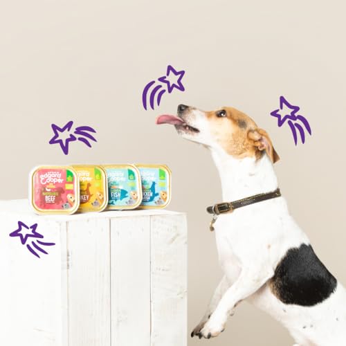 Edgard & Cooper Wet Food for Adult Dogs Pasztet Psy Bio Bez Zbóż Kubki 100 g x 17 Indyk Biologiczny, Smaczne i Zbilansowane Zdrowe Karmienie, Świeże Mięso