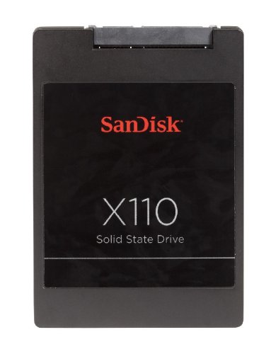 X110 SD6SF1M-256G-1022I