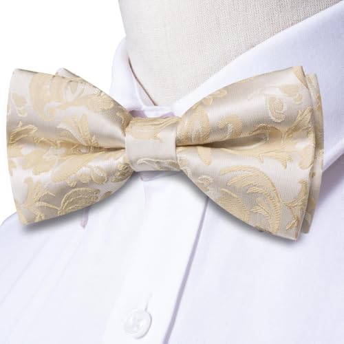 Image of Dubulle Mens Paisley Striped Bowtie Set Pre-tied Bowtie for Men and Pocket Square Set Wedding Business