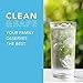 Clearly Filtered Water Filter Pitcher | Guaranteed to Remove More Contaminants Than The Top 5 Leading Brands Combined | Tested to NSF Standards | 10 Cup Purifier, 1 Filter Cleans 100 Gallons of Water