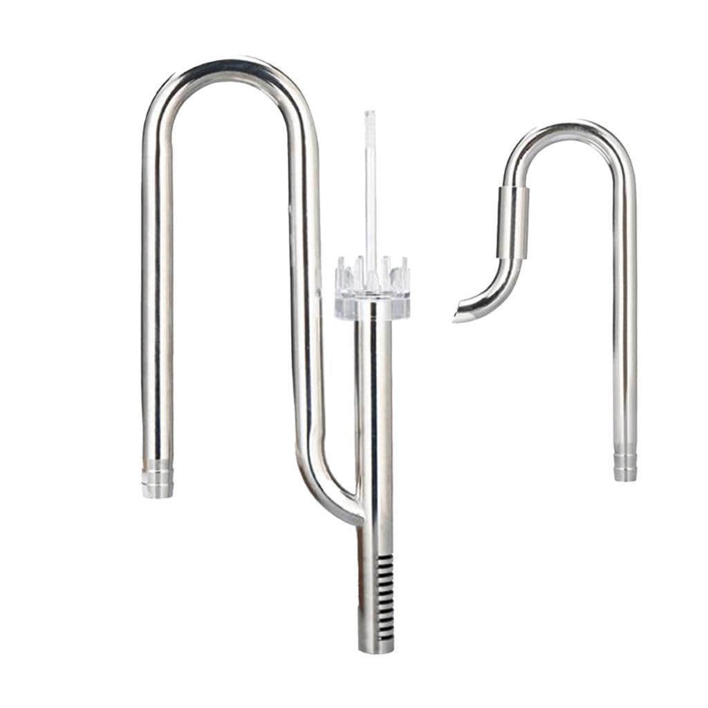 Tubo per Ninfee Acquatiche in Acciaio Inox con Ingresso E Uscita in Superficie Acrilica, Ideale per Acquari Piantumati, Decorazioni E, 12Out 16Oil Regolare