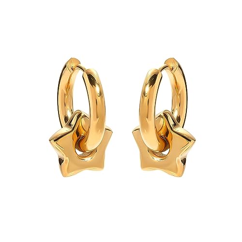 Star Hoop Earrings For Women