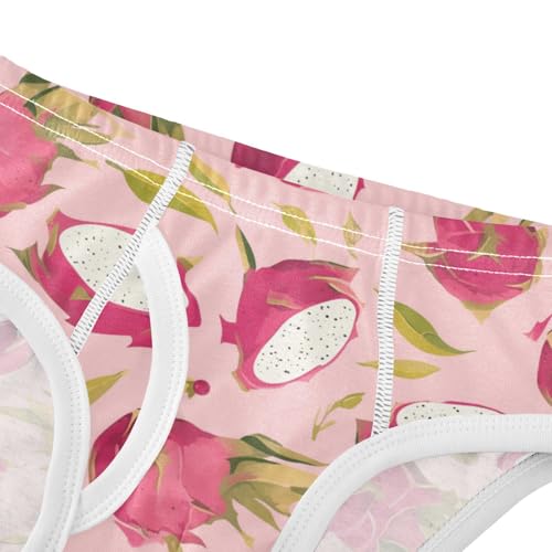 Wusikd Dragon Fruits Pink Boys' Underwear Cotton Boys Briefs Soft Toddler Underwear 2T4