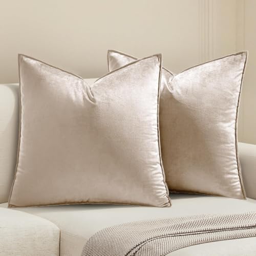 MIULEE Decorative Champagne Velvet Throw Pillow Covers for Couch 22x22 Inch