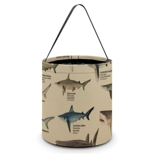 �n���E�B�� �L�����f�B�o�X�P�b�g �T���̎�� Types of Shark �L�����f�B�� ���َq �R���e�i ��񂰑� �y�� ������p�[�e�B�[�L�O�i �v���[���g ���O�W��p