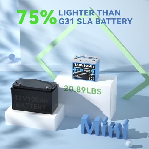 12V 100Ah Mini LiFePO4 Battery, 100A Smart BMS, 1280Wh, Ideal for RV, Solar, Trolling Motor