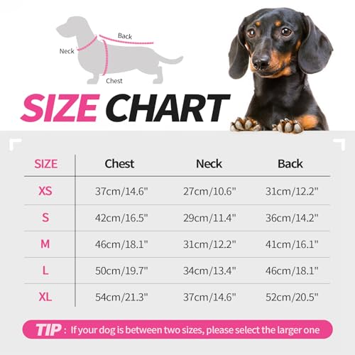 Hjyokuso Dachshund Jumper, Elastic Lightweight Dachshund Fleece T-Shirt, Designed for Dachshunds Ideal for Sleeping Lounging - Image 4