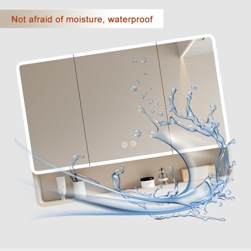 Armoire de toilette LED 60x88 cm avec miroir et étagères