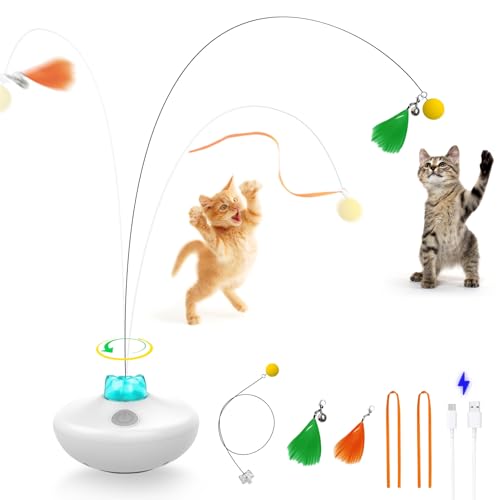 Get Ready to Purrfect Playtime with the Top 10 Best BatteryOperated Cat Toys! Furry Folly