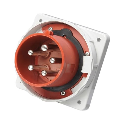 5P 125A hvO dvO SP-1983 P[u YƗpvO