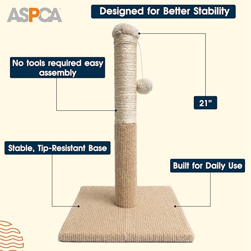 Arbre à chat ASPCA contre les griffures de canapé - 5
