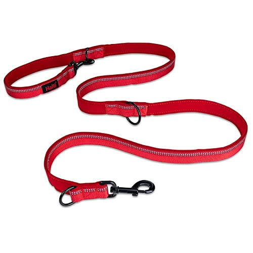 HALTI Double-Ended Leash for Dogs - Neoprene-Padded, Easy to Use, Reflective, Adjustable Lengths, Ideal Dog Leash for Hands Free Running & Training. Suitable for Medium and Large Dogs (Size L, Red)