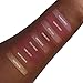 Aromi Matte Liquid Lipstick | Long-Lasting, Waterproof, Smear, Smudge + Transfer Proof, Nutmeg Orange Lip Color, Paraben, Phthalate, + Gluten Free (Burnt Pumpkin)