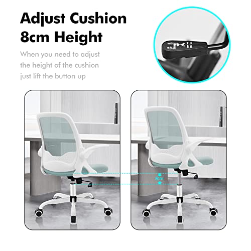 Erdom Office Chair, Ergonomic Desk Chair, Breathable Mesh Computer Chair, Comfy Swivel Task Chair With Flip-Up Armrests And Adjustable Height #TOP3