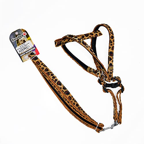 Köp.Uztm+Göğüs Tasması Leopar 15mm 120cm