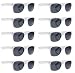SCLM Wayfarer 80's Style Sunglasses 10 Bulk Pack Lot Neon Color Party Glasses (White 10 Pack)