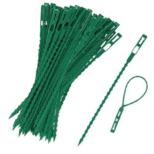 100 Stück Pflanzenbinder Verstellbare Grün Garten Kabelbinder Verstellbarer Pflanzkübel Pflanzenbinder Grün Pflanzen Anbinder Gartenbinder Kunststoff Schnellbinder Pflanzenclips