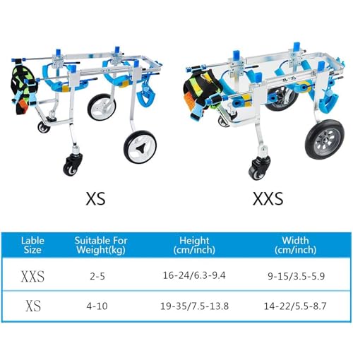 Chariot de soutien pour petit chien handicapé et aide mobilité - 4