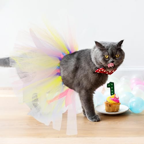 Süßes Tutu-Kleid für Hunde – Stylische Ostermode für Welpen & kleine Hunde