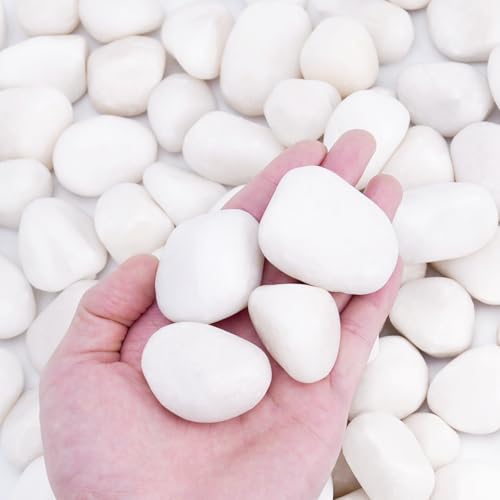 Image of Pulovin 30 lbs White Rocks for Plants Indoor, 1-2 inch Decorative Garden Stone Outdoor Landscaping, Walkways, Yard, Large Polished River Rocks for Plants Pots, Vases, Crafts