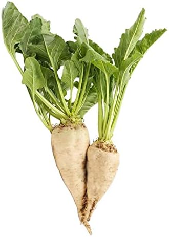 Beyaz (Şeker) Pancar Tohumu 10 gr Paket