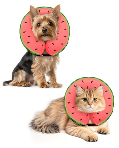 Image of MIDOG Inflatable Dog Cone, Soft Donut Recovery Collar, Red, X-Small