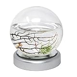 EcoSphere Closed Aquatic Ecosystem Small Sphere with LED base