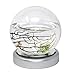 EcoSphere Closed Aquatic Ecosystem Small Sphere with LED base