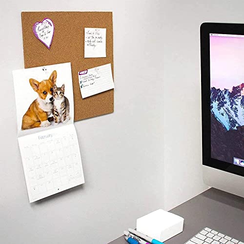 Corksidol Cork Tiles 18"X18" - 1/2" Thick -Bulletin Board-Cork Board- Ultra Strong Self Adhesive Backing For Floor/Wall/Diy-1 Pack #TOP4