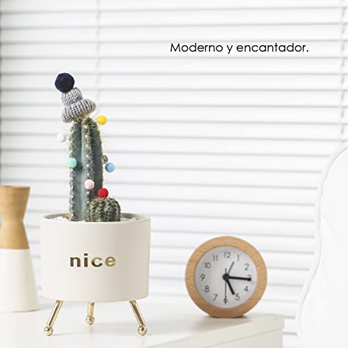 Encuentra reviews de Macetero pie hierro más recomendados. 14 Imagen adicional
