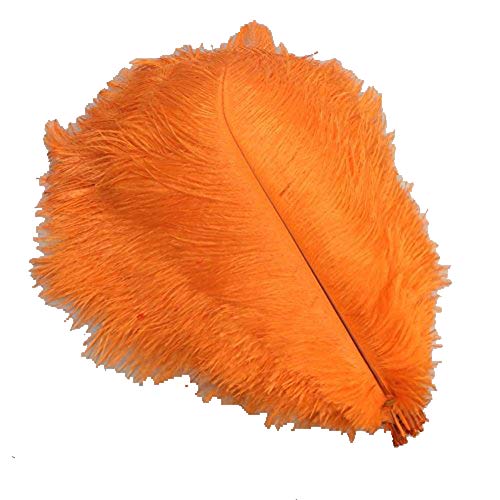 Plumes d'autruche contre centres de table vides, décoration orange 25-30 cm