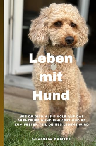 Leben mit Hund: Wie du dich als Single auf das Abenteuer Hund einlässt und er zum festen Teil deines Lebens wird