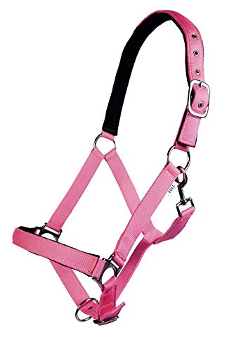 HKM Stars Softice - Cavezza Verde