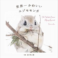 世界一かわいいエゾモモンガ 感想 レビュー 読書メーター