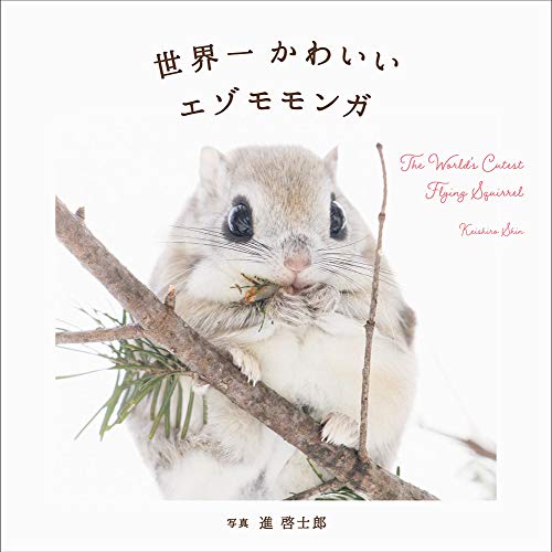 無料電子書籍 おすすめ 世界一かわいいエゾモモンガ バイ