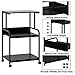 Arbuxzuy Printer Stand with Storage Shelf,3 Tier Printer Cart with Wheels,Mobile Printer Table for Home Office,Stands for Heat Press Scanner Fax,Industrial Style (Black)