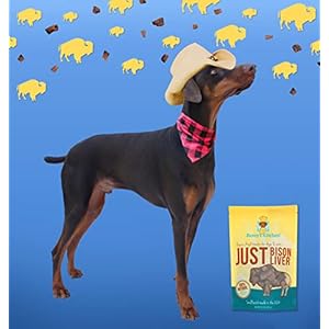 Simply Bison Liver Freeze Dried Single Ingredient Treats for Canines and Cats 2.5 oz USA Small Batch Made All Pure