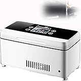 CraftNestUK Caja de refrigeración para coche, enfriador de insulina, caja de viaje, mini cajas enfriadoras portátiles de 0 a 18 ℃ con pantalla LCD (3 baterías)