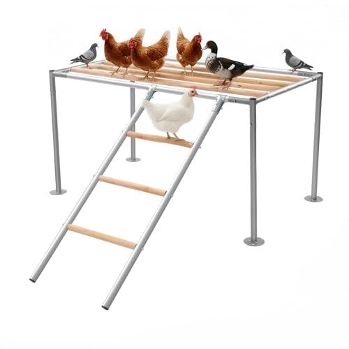 Czyurachel Poulailler Ensemble de jeu, XXL perchoirs pour poules, échelle pour poules pour 10 poules adultes, jouet pour poules, jouet pour poules extérieur, 105 x 60 x 60 cm
