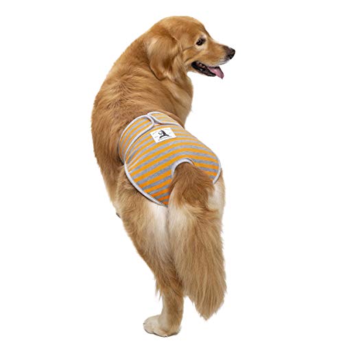 Miaododo Washable Female Dog Diapers,Reusable Pink+Orange+Green Striped Dog Pants For Doggie In Heat Velcro Adjustable Waist(Pack Of 3) (S(Waist 17.7''-21.65''), Pink+Orange+Green) #TOP2