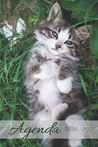 Agenda escolar 2020 2021 para niños: Diario escolar 2020 2021 | Septiembre 2020 a Agosto 2021 | Tamaño 6x9 pulgadas | 346 páginas | Calendario 2020 2021 (Spanish Edition)