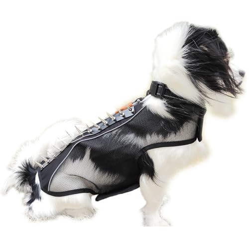 Spike Vest for Dogs The 15 best products compared Wild Explained