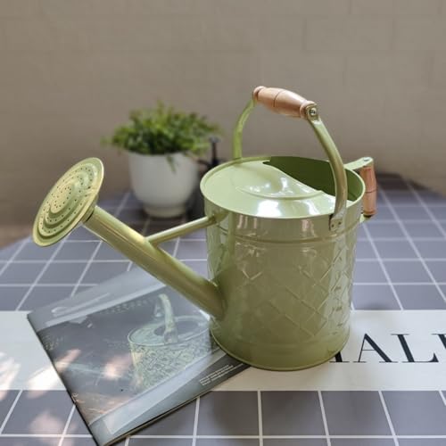 Sarinyじょうろ 大型 ジョーロ おしゃれ 金属ジョウロ バケツ 長い注ぎ口 大容量 ガーデニング 水やり 散水 ジョウロ 園芸 ピッチャー ジョーロ 鉢植え 野菜じょうろ 観葉植物 水やり 散水用品 ガーデン 水差し 散水用具 持ち運びやすい 園芸用