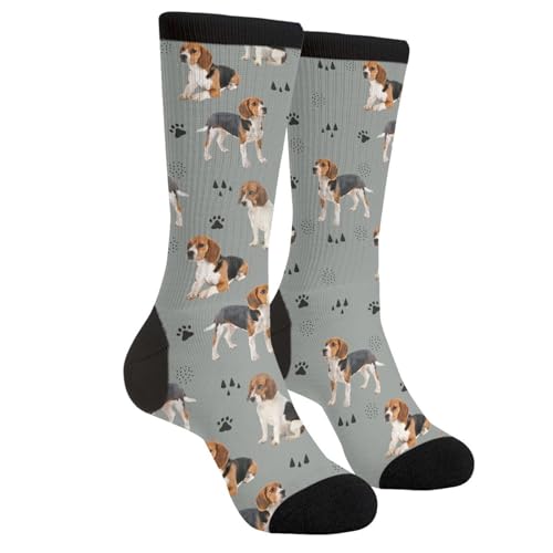 GJLNTRF Funny Beagle Dog Novelty Crew Socks