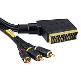 Audio-Video-Scartkabel Hama Surround-Sound-Kabel Scart-Stecker - Scart-Stecker, 2 m