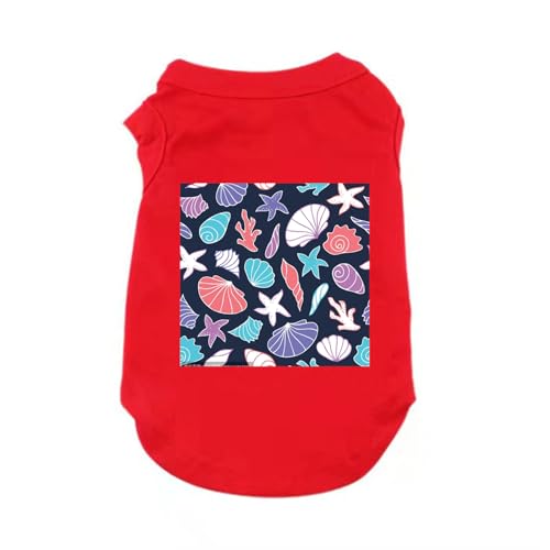 CNJKS bh  TVc EȒP tH~  ^p t  ̕ ybg^ m U o Ă\h ё΍ ėp tėp XS`5XLTCYWJ ^ ^ ^ h UVJbg 