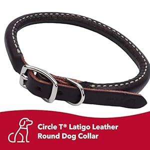 Coastal pet circle t latigo leather round dog collar  handcrafted leather pet collar for dogs  comfortable dog collar for dogs with long hair or sensitive skin  38 x 14   cucciolini doodles