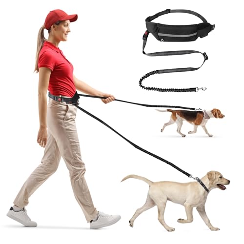 Corpower Joggingleine Hunde, Laufleine für Hunde, Bauchgurt Hundeleine - Multifunktional, Bietet Platz für Eine Wasserflasche, Geeignet zum Joggen, Radfahren, Wandern